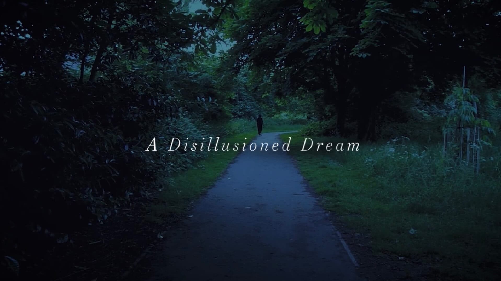 A disillusioned dream