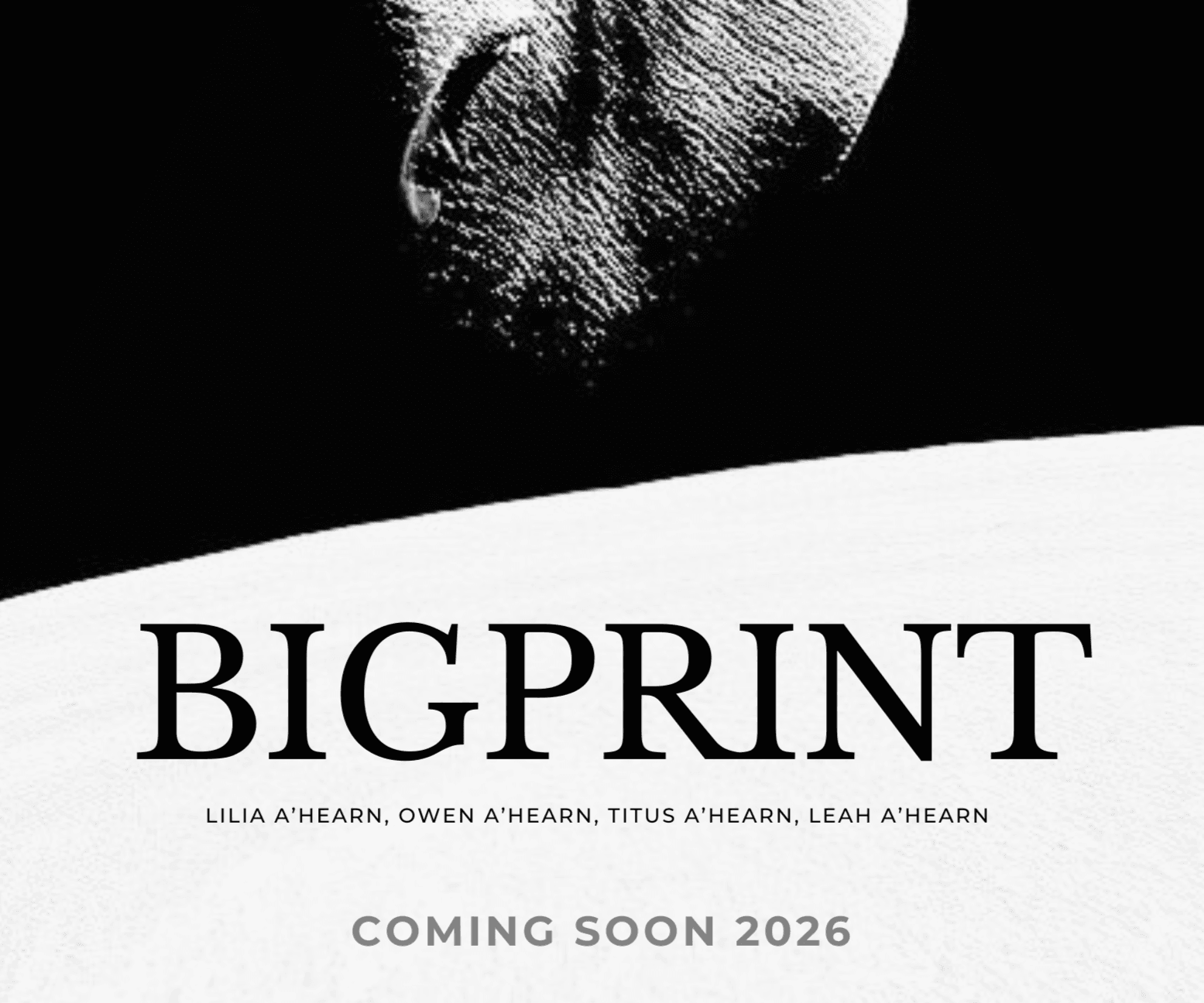 BigPrint
