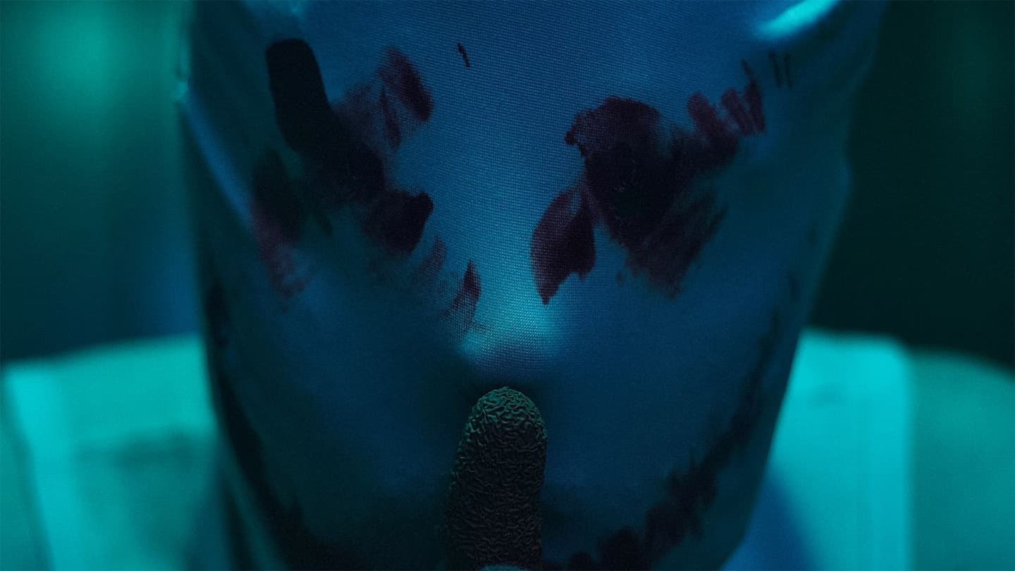 Curiosity