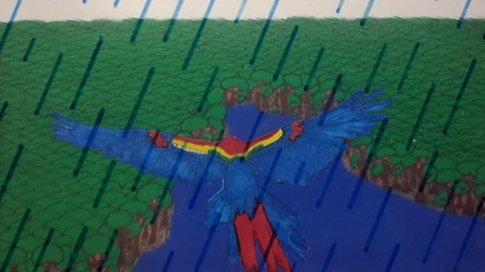The Skyward Sapphire Chase: A Frog's Rainforest Quest